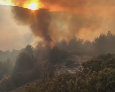 Локализираха пожара край Разлог