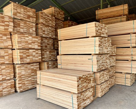 Трите най-големи предприятия за дървесина у нас затварят! Страх от фалити в бранша