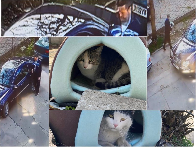 Нова къщичка иглу за бездомно коте в Пловдив бе открадната,
