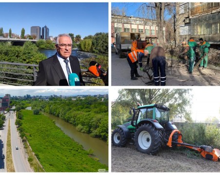 Чистенето на Марица: Резачи на дървета взимат по 6646 лв. заплата с парите на пловдивчани