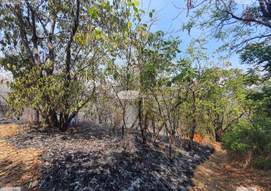 Голям горски пожар бушува край село Паничери Община Хисаря Към