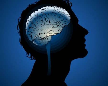 Мъжкият мозък предпочита секса пред храната