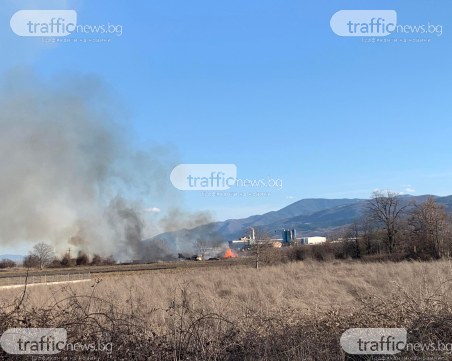Пожар избухна край Околовръстното на Пловдив