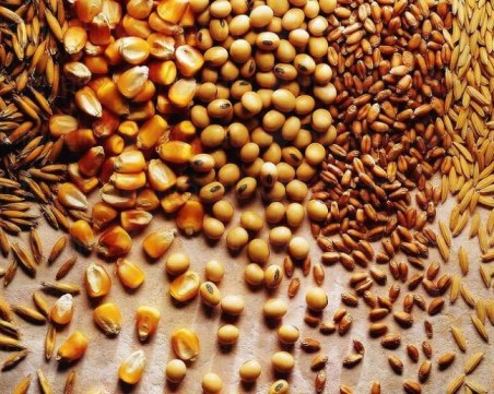 Украйна ще поиска от Турция и ООН удължаване на зърнената сделка