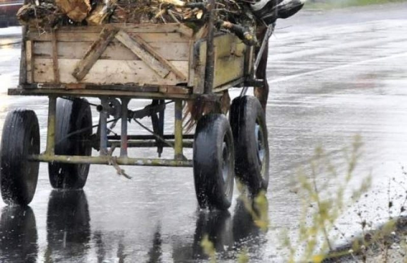 Водач блъсна пиян каруцар в Пловдив, изскочил на пътя