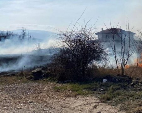 Палежи в Пловдив, гражданите - притеснени