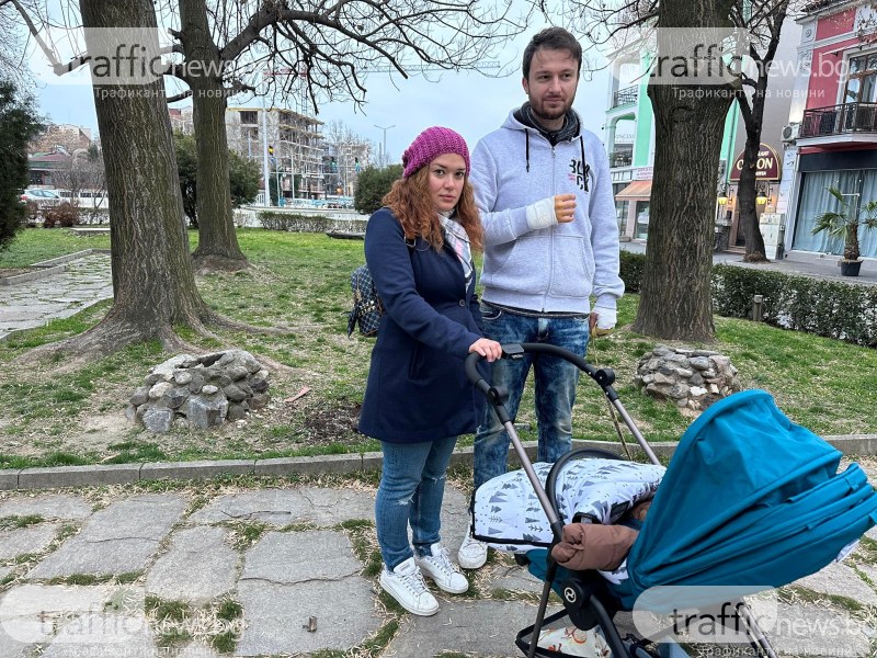 Нахапаният от питбул в Пловдив издирва свидетели