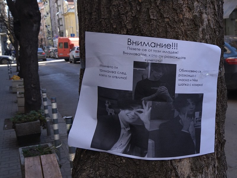Предупредителна бележка се появи на дърво в София