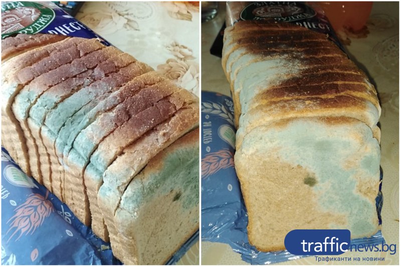 Пловдивчанка закупи развален хляб от верига магазини в Пловдив. Жената
