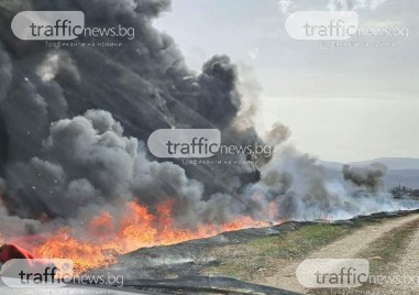Пожар пламна в обработваеми площи край Златитрап научи TrafficNews Стихията