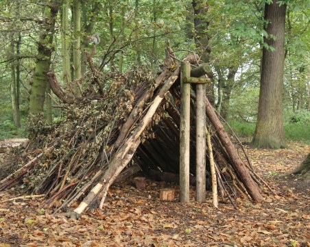 Митове за оцеляването в природата, които може да ви струват живота