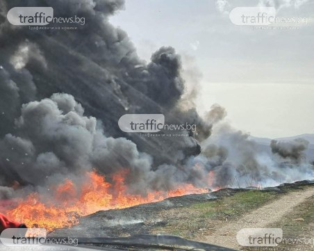 Пожар лумна край Златитрап, гори нива
