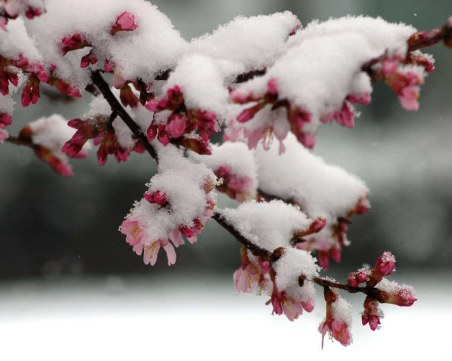 Очаква ни сериозно захлаждане в средата на март