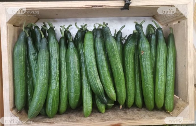 Производители на краставици: Работата с веригите ни дава сигурност