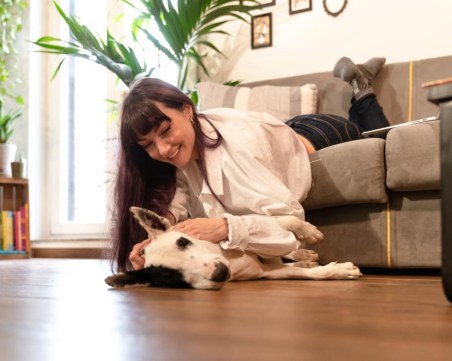 Ето кои породи кучета са най-привързани към стопаните си