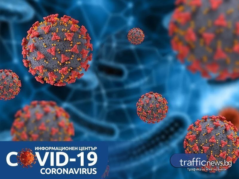 COVID в цифри: 25 нови случаи, два от тях са в Пловдив