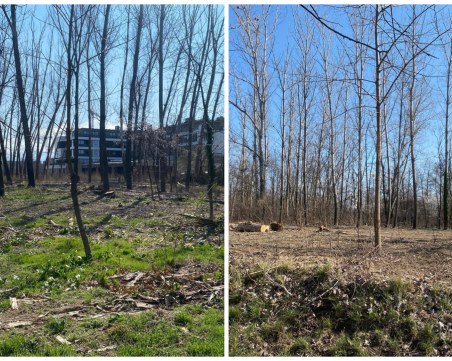 На Гребната се сече ежедневно, но всичко е точно