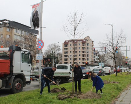 Проведоха още две залесителни акции в „Северен