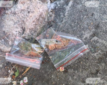 Един на шестима български ученици употребява наркотици