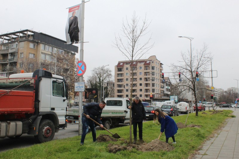 Проведоха още две залесителни акции в „Северен