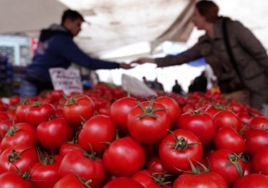 Турция ще продължи да изнася домати Забраната която беше наложена