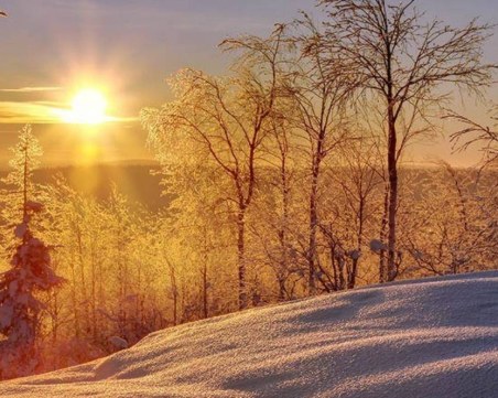 Европа преживя втората си най-топла зима от близо 45 години