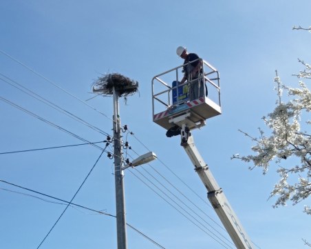 Спасиха гнездо на бял щъркел в село Труд
