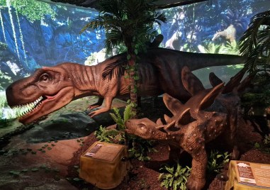 7 метров тиранозавър Рекс трицераптос  4 метров птеродактил и стегозавър