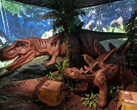 Антарктическа морска звезда и риби пътуват към Пловдив с експедицията на Христо Пимпирев