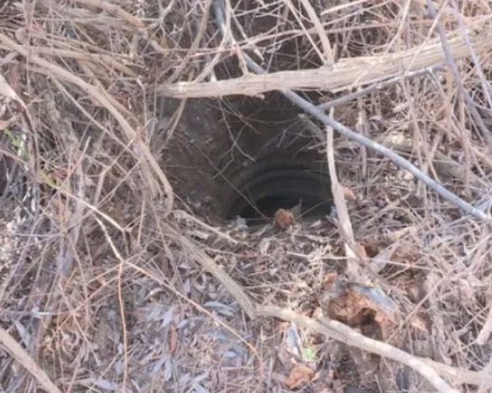 Мъже спасиха затрупано куче в шахта в Пловдив