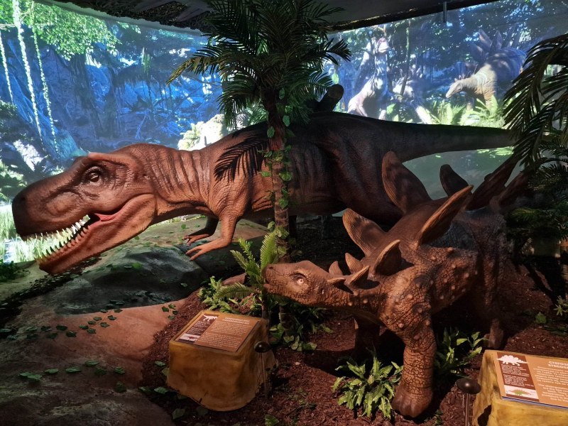 7-метров тиранозавър Рекс, трицераптос,  4-метров птеродактил и стегозавър вече посрещат