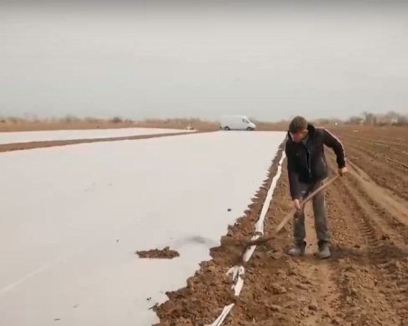 Производител на пипер от Пловдивско: Цената на подправките също се покачва