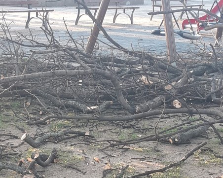 Вятърът изпочупи десетки клони, стовариха се върху посещаем пловдивски парк