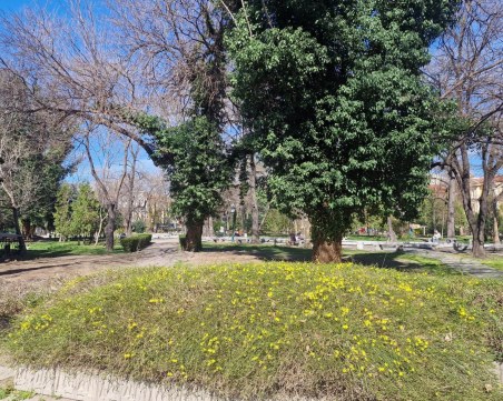 Фондът за устойчиво развитие гледа документацията на Дондуковата градина след седмица