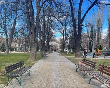 Кражба в пловдивския парк „Белите Брези”! 16-годишни задигнаха два телефона
