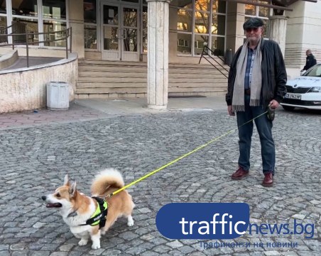 Нападнатият с кучето си юрист в Пловдив: Не съм единствения потършевш, този мъж тормози всички в квартала