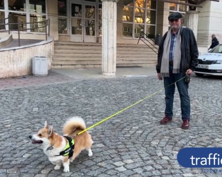 Задържаха мъжа, нападнал адвокат Левашки