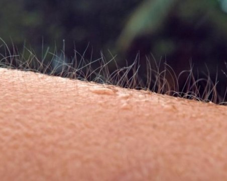 Смъртоносна гъбична инфекция се разпространява бързо в САЩ