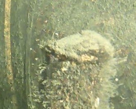 Дания откри 