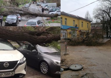 Мощната буря в Пловдив продължава да причинява щети на пловдивчани