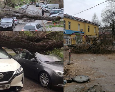 Бурята в Пловдив нанесе още щети! Дървета трошат паркирани автомобили