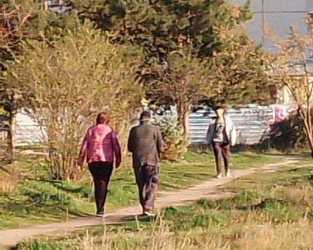 Двойка пенсионери откраднаха новозасадено борче от Лаута ВИДЕО