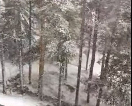 Март месец пак се прояви: Зимата се завърна в Пампорово