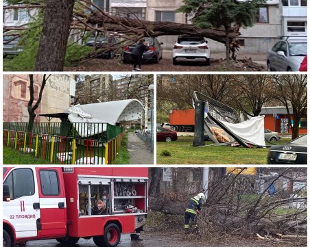 ОБЗОР: Пролетта ни изненада! Мощна буря нанесе десетки поражения в Пловдив