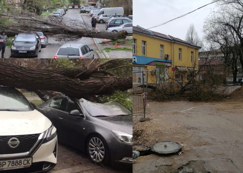 Бурята в Пловдив нанесе още щети! Дървета трошат паркирани автомобили