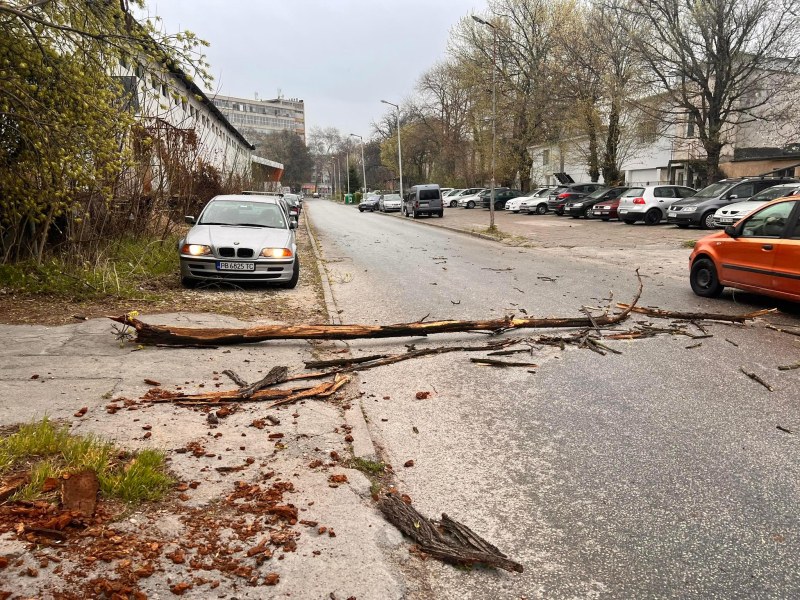 Първа пролетна буря връхлетя  Пловдив, предизвика хаос под тепетата