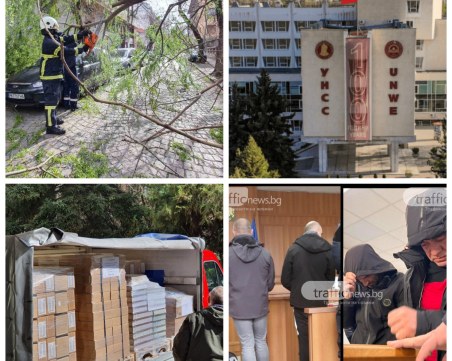 ОБЗОР: Много щети след бурята, мъж пострада от паднало дърво в Кършияка, над 100 сигнала за два дни за бомби в училища и университети