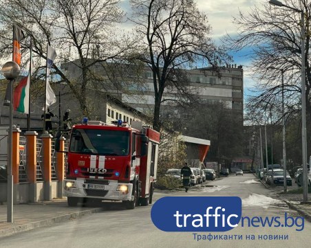 Още 18 сигнала са подадени днес за паднали клони в Пловдив