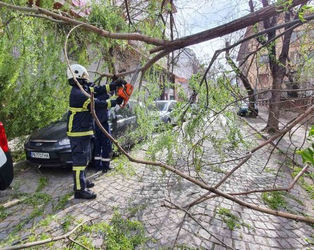 Пловдивската пожарна: Получихме 60 сигнала за паднали дървета, утре се очаква отново силен вятър