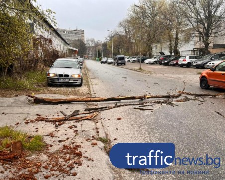 Силният вятър в Пловдив продължава, остава в сила жълт код за 9 области от страната